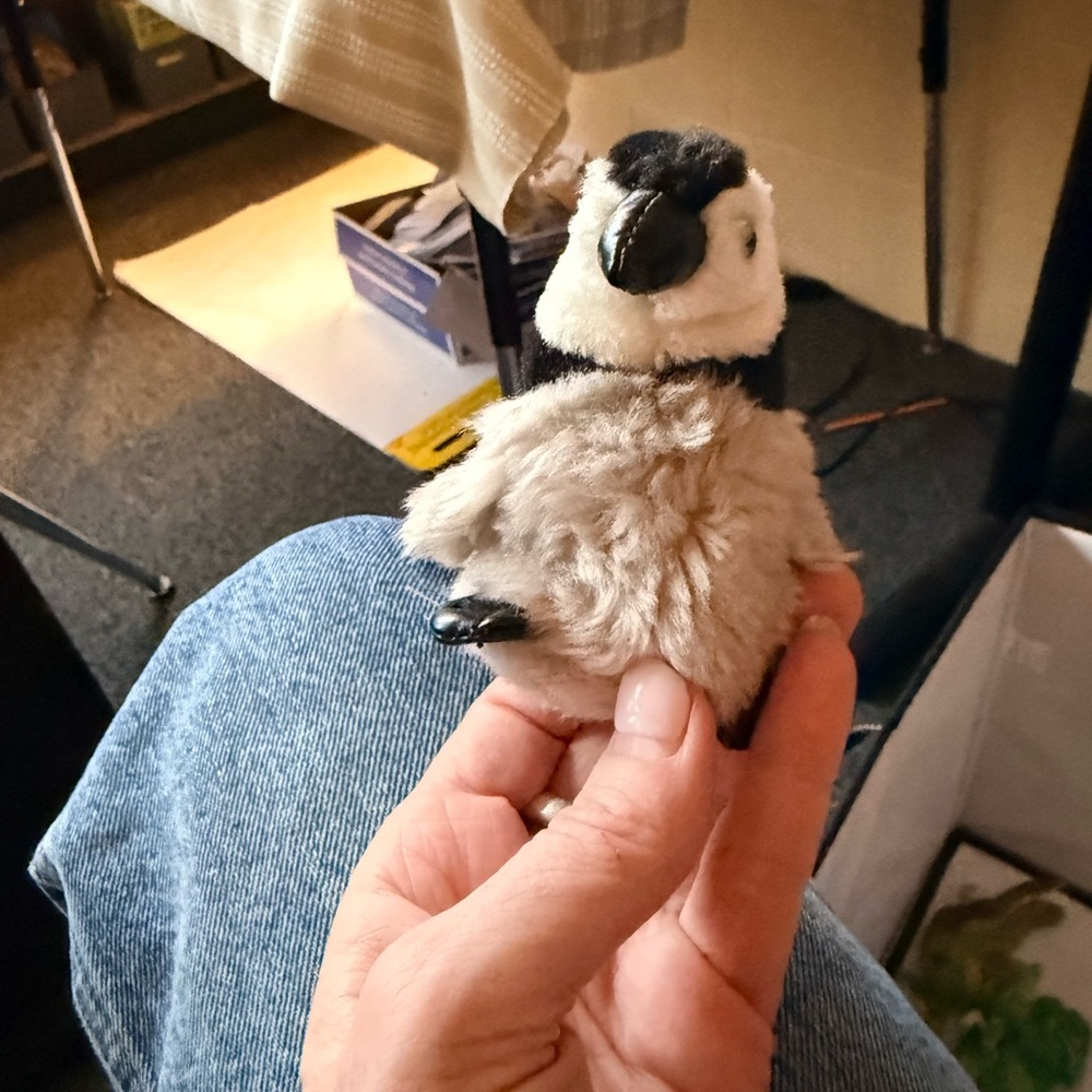 Folkmanis finger puppet Plush Penguin Toy for Small Pets